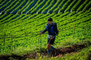 BIB: 
                            <button type="button" onclick="openModal(19160429)" class="btn btn-primary btn-sm float-right btn-popup" data-toggle="modal" data-target=".modal-high-quality">
                        <i class="fas fa-shopping-cart"></i> Add to Cart
                    </button>
                                            <button type="button" onclick="isThisMe(19160429, true)" class="btn btn-success btn-sm float-right btn-popup btn-isme hidden" data-toggle="tooltip" data-placement="bottom" title="นี่คือรูปของคุณใช่ไหม คลิกที่นี่เพื่อเอาเข้าอัลบั้ม">
                        <i class="fas fa-plus"></i> Add to album
                    </button>
                    <button type="button" onclick="isThisMe(19160429, false)" class="btn btn-warning btn-sm float-right btn-popup btn-isnotme hidden">
                        <i class="fas fa-ban"></i> Remove from album
                    </button>